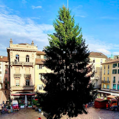 Decorazioni Natalizie Lugano.Lugano L Albero E Arrivato La Felicita Di Borradori Che Il Natale Abbia Inizio Ticinolibero