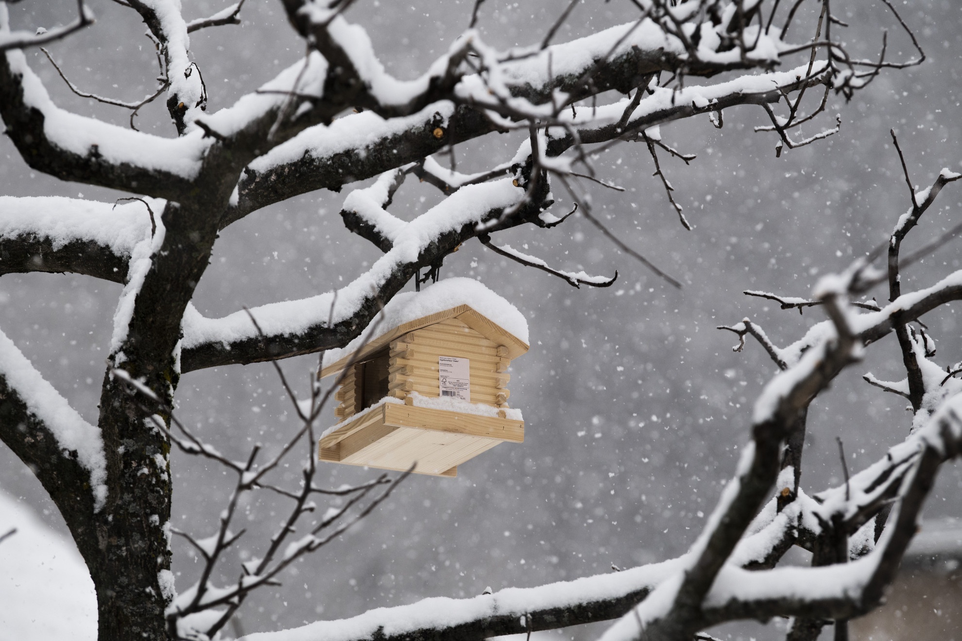 In Ticino Arriva La Neve A Bassa Quota - Ticinolibero